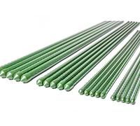 10 Pezzi Supporto Per Piante 55cm Ø8mm, Canne In Acciaio Plastificato, Bastone Orti, Colore Verde, Tanti Misure (0,8X55cm)