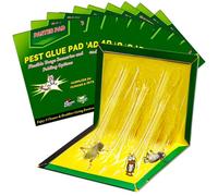 10 Pezzi Trappole Colla 31.5 Cm x 21 Cm Trappola Scarafaggi - Trappole Per Scarafaggi Professionale Grandi Per Blatte Con Ultra Adesive