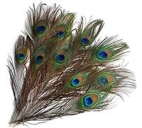 10 piume di pavone naturali con coda di occhi, decorazione per la casa e il matrimonio