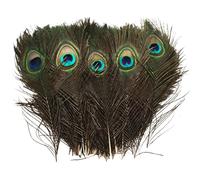 10 piume naturali per occhi di pavone, coda verde, per fai da te, costumi, bouquet, decorazioni per feste di nozze