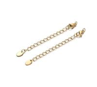 10 pz Estensione in Acciaio Inossidabile Catene a Coda Estesa Chiusure per Aragosta Connettori Gioielli Fai da Te Risultati Bracciale Collane-Colore Glod 11