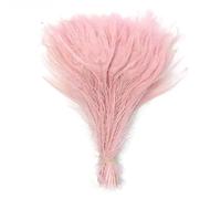 10 pz/lotto 25-30 Cm 10-12In Piume di Pavone Naturali Per Artigianato Gioielli Che Fanno Decorazione di Nozze