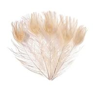 10 pz/lotto 25-30 Cm 10-12In Piume di Pavone Naturali Per Artigianato Gioielli Che Fanno Decorazione di Nozze