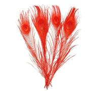 10 pz/lotto 25-30 Cm 10-12In Piume di Pavone Naturali Per Artigianato Gioielli Che Fanno Decorazione di Nozze