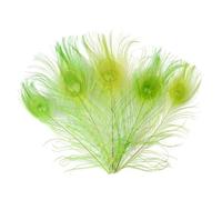 10 pz/lotto 25-30 Cm 10-12In Piume di Pavone Naturali Per Artigianato Gioielli Che Fanno Decorazione di Nozze