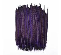 10 Pz/lotto Colorato Femminile Piume di Fagiano per la Decorazione 25-30cm Artigianato Accessori Fagiano Piuma Decor FAI DA TE Carnevale