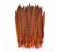 10 Pz/lotto Femmina Fagiano Coda Piume 25-30CM/10-12 Naturale Fagiano Piuma Decorazione Piuma Arancione