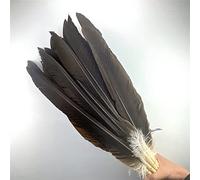 10 Pz/lotto Piume d'Aquila Naturali per Artigianato 40-60 cm/16-24 Pollici Lungo Grande Nero Piuma di Uccello Decor Fai da Te Carnevale Pennacchi Decorazione-Naturale, 40-50 cm 16-20 pollici