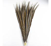 10 pz/lotto piume di fagiano naturali per artigianato 10-120 cm/4-48 "Piume artigianali decorazione piume lunghe decorazione fai da te naturale 15 a 20 cm