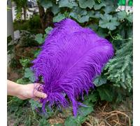 10 pz/lotto piume di struzzo bianche per l'artigianato 15-45 CM festa di nozze decorazione tavolo centrotavola Carnevale Plumas Deco