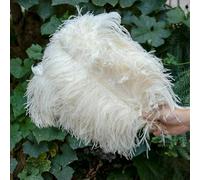 10 pz/lotto piume di struzzo bianche per l'artigianato 15-45 CM festa di nozze decorazione tavolo centrotavola Carnevale Plumas Deco