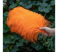 10 pz/lotto piume di struzzo bianche per l'artigianato 15-45 CM festa di nozze decorazione tavolo centrotavola Carnevale Plumas Deco