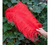 10 pz/lotto piume di struzzo bianche per l'artigianato 15-45 CM festa di nozze decorazione tavolo centrotavola Carnevale Plumas Deco