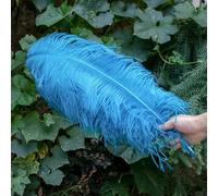 10 pz/lotto piume di struzzo bianche per l'artigianato 15-45 CM festa di nozze decorazione tavolo centrotavola Carnevale Plumas Deco