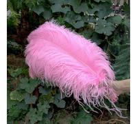 10 pz/lotto piume di struzzo bianche per l'artigianato 15-45 CM festa di nozze decorazione tavolo centrotavola Carnevale Plumas Deco