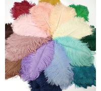 10 Pz/lotto Piume di struzzo Colorate per Artigianato Bianco Piuma Nera Decor Tavolo Centrotavola Gioielli Artigianato Decorazione