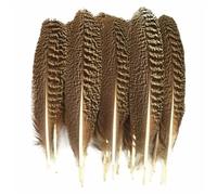10 pz/lotto piume naturali di pavone uccello di fagiano piuma d'aquila per la decorazione artigianale