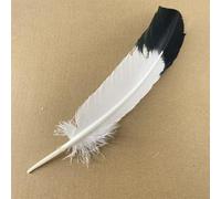 10 Pz/lotto Vere Piume D'Aquila Naturali Per La Decorazione Artigianato Tacchino Fagiano Uccello Gufo Piume Decorazione Piume Accessori Carnevale-25-30 Cm 10-12 Pollici,10Pcs