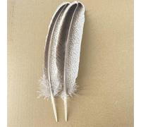 10 Pz/lotto Vere Piume D'Aquila Naturali Per La Decorazione Artigianato Tacchino Fagiano Uccello Gufo Piume Decorazione Piume Accessori Carnevale-20-25cm 8-10Inch,10Pcs