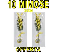 10 PZ RAMETTO MIMOSE FESTA DELLA DONNA MIMOSA idea regalo decorazioni 8 Marzo