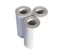 10 Rotoli Termici per Pos senza Anima 57x 24 mm