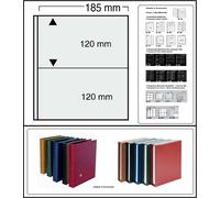 10-SAFE-562-Einsteckblätter-Variant-2-Fächer-185x120mm-glasklar Zwl