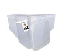 10 Secchi con coperchio da 10 l, trasparenti, angolari | Secchi in plastica di qualità alimentare, ermetici e stabili | Secchi vuoti con maniglia e coperchio adatti per alimenti, chimica, vernici