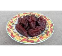 10+ Seeds Of Black Naga Capsicum chinense