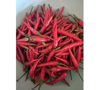 10 semi di peperoncino tailandese (Thai)