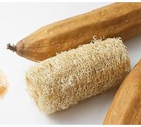 10 Semi di zucca spugna - Luffa - spugna naturale - semi contadini