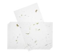 10 Set Carta per Lettere Vintage in Riso, Elegante e Artistica | Superficie Adatta All'inchiostro, Stile Classico Retrò, per Inviti, Poesia e Pratica di Calligrafia