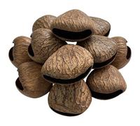 10 sonagli Panji Nutshell, conchiglie di frutta marroni preforate per campanelli a vento fai da te, percussioni manuali naturali per terapia acustica, ciondoli per borsa per strumenti musicali e