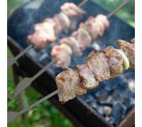 10 spiedini piatti in titanio per barbecue, da esterno, da giardino, da picnic, per grigliate, spiedini per barbecue, durevoli, leggeri, resistenti alla corrosione, per shish (32 cm)