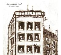 The Pineapple Thief 10 Stories Down (Vinyl LP) 12" Album