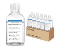 10 tamponi WTB da 500 ml, 10 pezzi, Western Blot Transfer Buffer (10X), WTB per Western Blot Analyse, PH: 8.3, 10 bottiglie/scatola