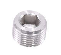 10 tappi for raccordi pneumatici esagonali in ferro nichelato, tappi terminali in ottone in acciaio inossidabile 304 for aria(304 Stainless Steel,3/4inch)