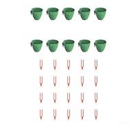 10 tazze per piantare e 20 forchette per fragole per una maggiore propagazione delle piante e un trapianto da giardino efficiente in termini di spazio (grande)