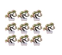 10 volte piccolo materiale bonsai bonsai in vaso artificiale per sala da