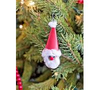 10 Walnut Shells for the Christmas Decorations/Gifts/Presents project : Package Contains seeds