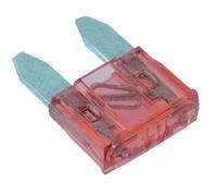 10 X 10A Mini Lama Fusibile 10 Amp Auto Van Bici Camion