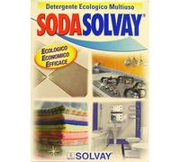 10 x SOLVAY SODA Detergente Multiuso 1000 GR