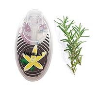 100/200 Capsule Aromatiche al Mentolo, Perla Capsula a Sfera Filtro a Clic di Sigaretta, Capsule al Mentolo di Alta Qualità, per Sigarette (vaniglia,100 cápsulas)