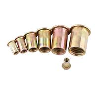 100 / 20Pcs M3-M12 in acciaio al carbonio con filettatura piatta Rivetto dado flangia Rivetto Nutsert Fastener(M12/20pcs)