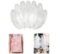 100/300 pezzi Piume bianche artigianali - 300 pezzi Piume naturali da 3-5 pollici, adatte per feste, matrimoni, decorazioni per la casa, dreamcatcher, fai da te e feste di Ognissanti (Varietà bianca) 