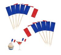 100 bandiere di stuzzicadenti, Francia, decorazione francese, piccolo mini stuzzicadenti, bandiera della Francia, decorazione per cupcake, stuzzicadenti con bandiera per calcio EM Coppa del Mondo