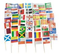 100 bandiere europee, stuzzicadenti, mini bandiere da cocktail, cupcake Toppers Euro Paesi Cocktail Mondiali Bandiere Europa Stuzzicadenti per Stick Eurovision 2025 Calcio Olympia Party Decorazione