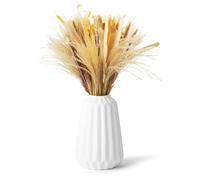 100 bouquet di erba di Pampas Decorative, erba di coda di coniglio e fiori di canna essiccati misti, adatti per composizioni nuziali, decorazioni da tavola, case in stile country e feste di Natale
