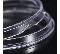 100 capsule trasparenti per monete da 30 mm, la costruzione a doppio guscio garantisce visibilità e protezione completa dei dettagli delle monete