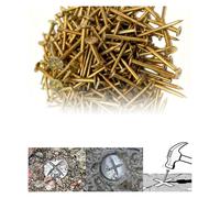 100 chiodi in acciaio da 3/5/7/10 cm, chiodi di misurazione a croce, pali di misurazione for marcatura dei limiti(7cm)