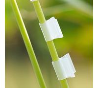 100 clip in plastica trasparente per innesto di verdure, supporta i processi di addestramento di pomodoro, cetriolo e vite (3,5 mm)